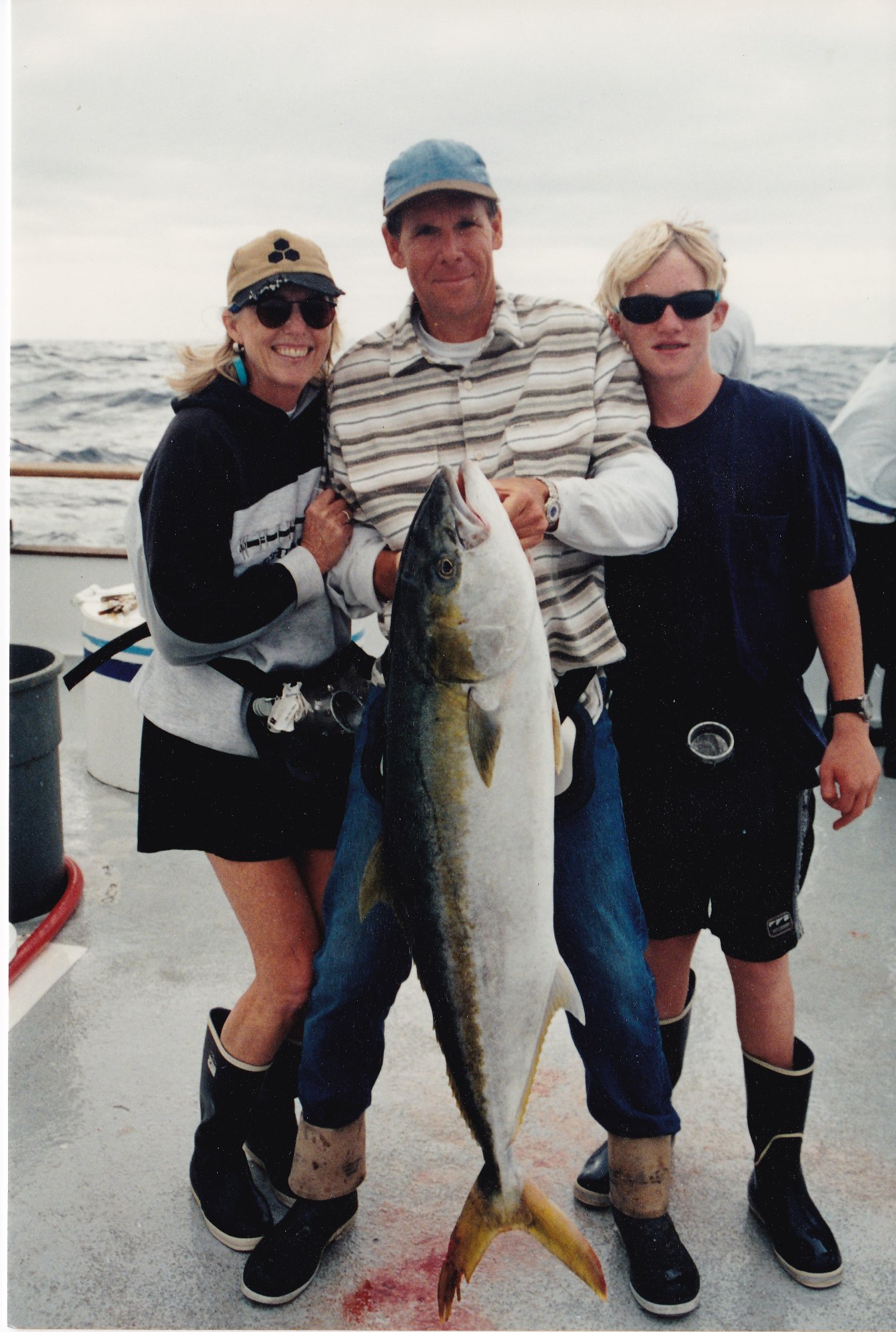 Yellowtail August 1995